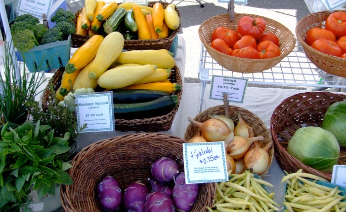 Andrea Rissing wins AAA Culture and Agriculture essay&nbsp;prize