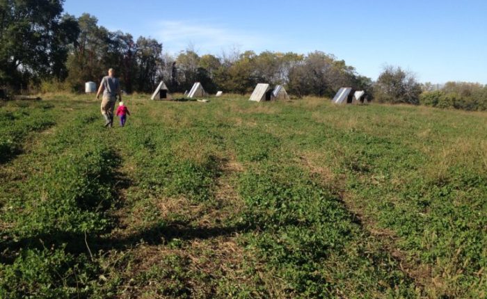 Andrea Rissing is featured in Anthropology&nbsp;News.