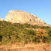 Jessica Thompson’s research is featured on&nbsp;Scienceseen