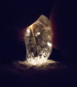 Dr. Justin Pargeter publishes research on prehistoric&nbsp;toolmaking