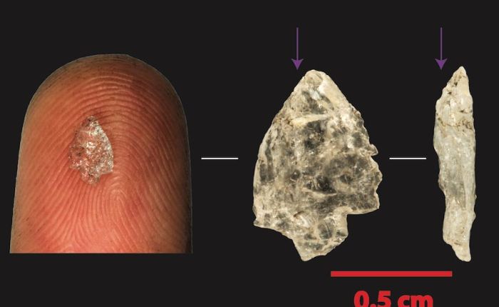 Justin Pargeter’s research on miniaturized tools is featured in Emory&nbsp;News