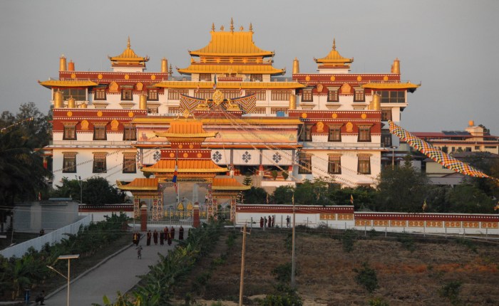 Emory Anthropology Department professor Carol Worthman on spearheading the neuroscience track of the&nbsp;ETSI